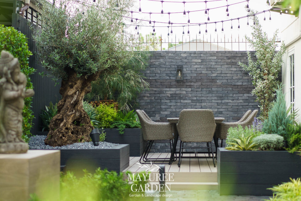 486321360_1454984505891293_905823970603418591_n