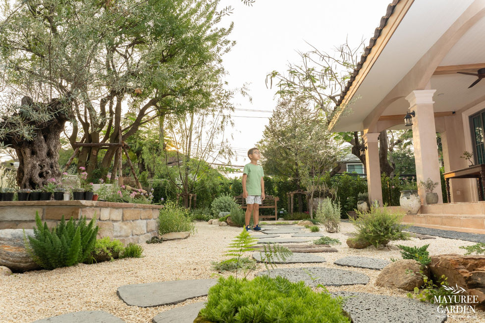 484490072_9389139161203522_3319796739768164551_n