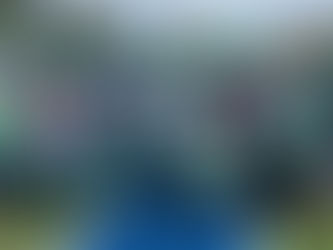 CHEER COACHES - SPIRIT SQUAD!!!