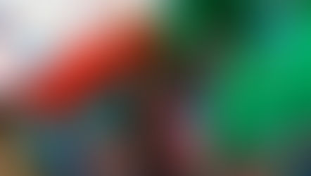 A Star Studded Performance