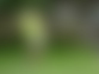 ゴルフというスポーツ