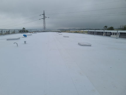 4b269c27-c3f1-4881-850c-58d52ed00573 2.JPG