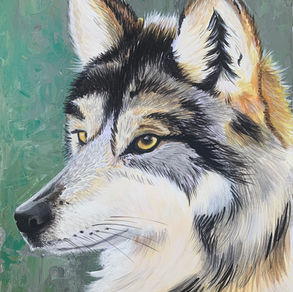 The Red Wolf