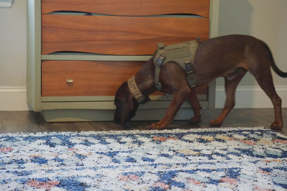 Bacon 1_edited_edited.jpg