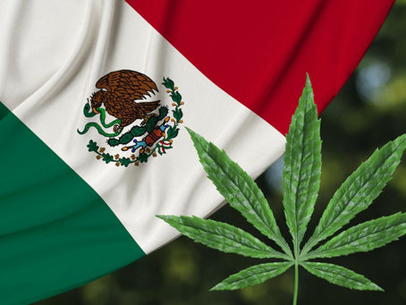 Mexico On Their Way To Legalization In 2021