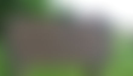 August 2017 Meeting Minutes