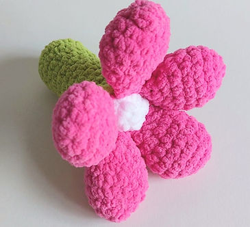 WhatsApp Image 2024-01-12 at 16.15_edited.jpg