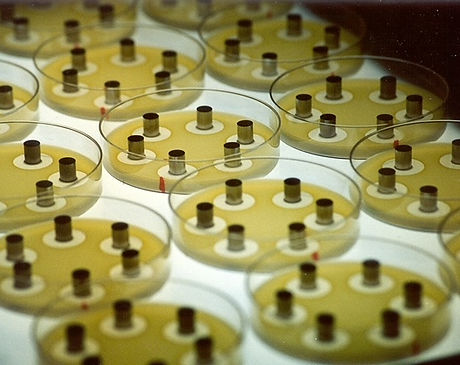 CYLINDER PLATES.jpeg