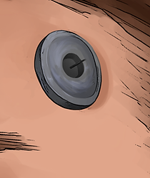 hudset2.png