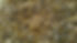 NoImage.png
