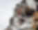 Screenshot_20210616-183309.jpg