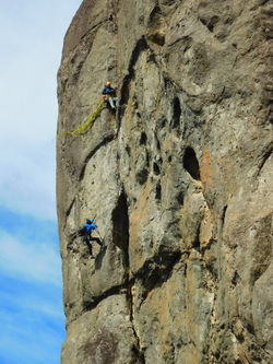 Externa do Nariz do Frade