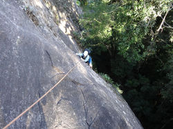 Vereda Tropical - Pico da Tijuca