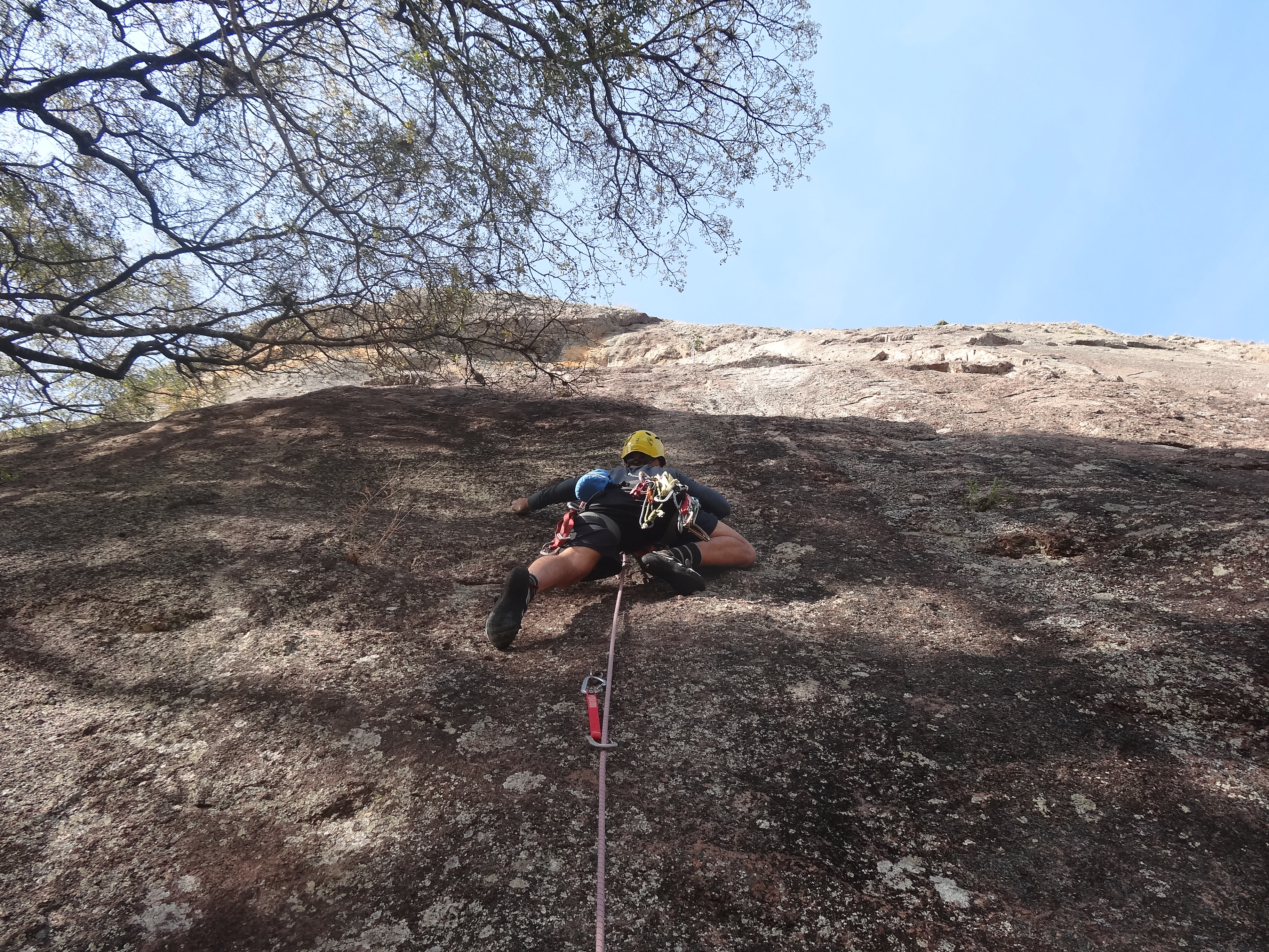 Caninana - Pedra do Pântano