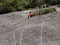 Roberta Groba - Capacete