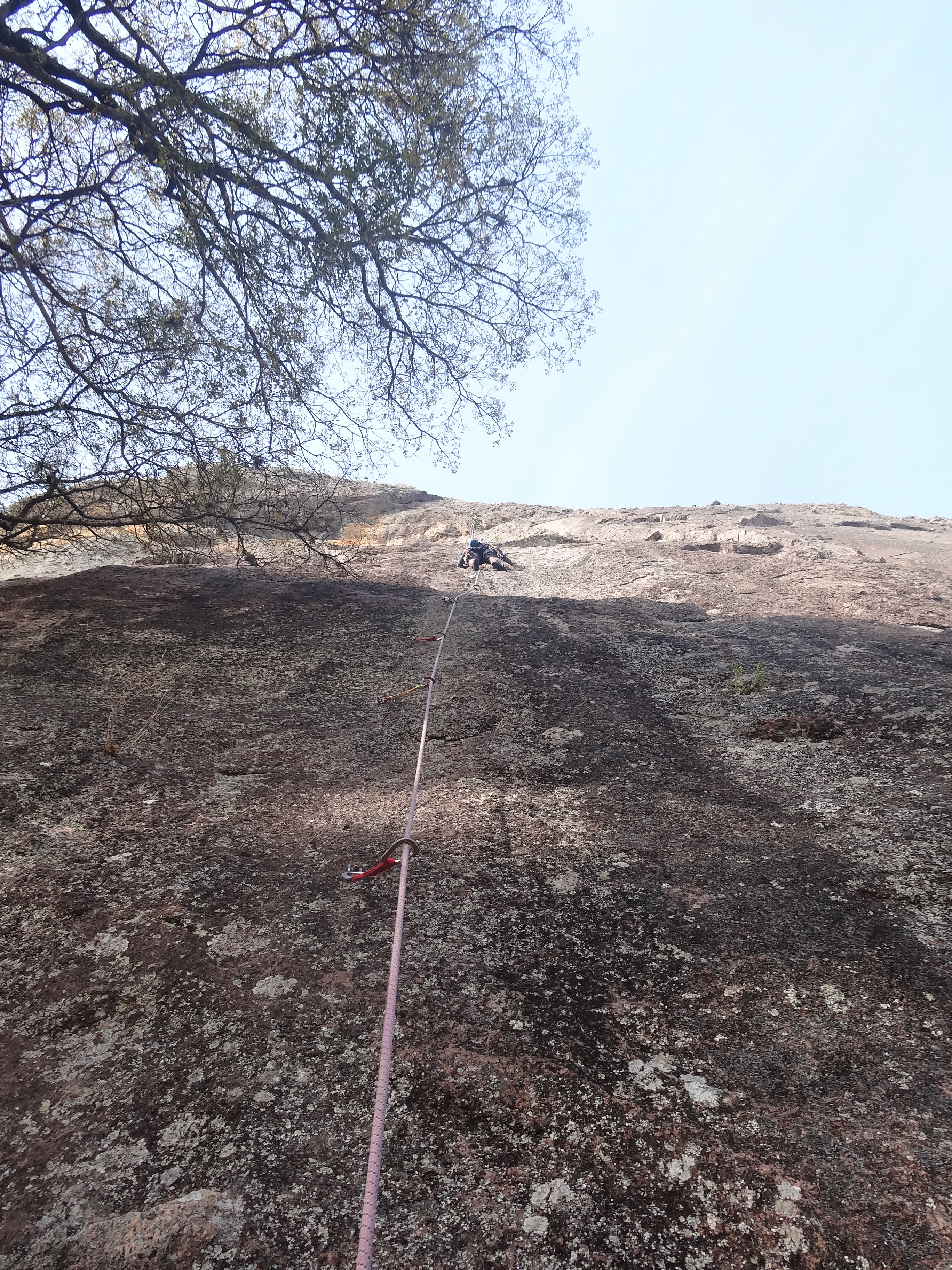 Caninana - Pedra do Pântano
