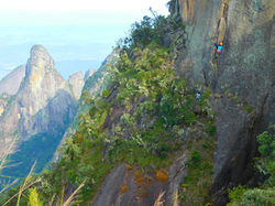 Externa do Nariz do Frade