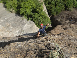 Onde os Frangos Não Têm Vez