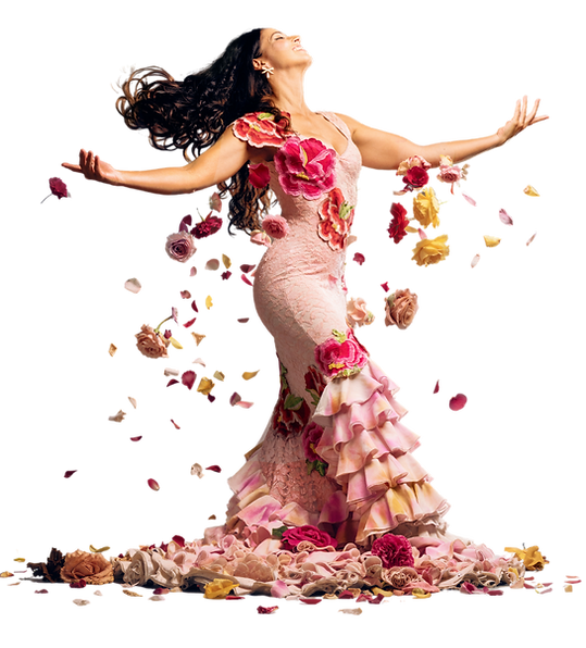 Flamenco for Dummies Rumba Flamenca Anita Loynaz. Curso Online Flamenco