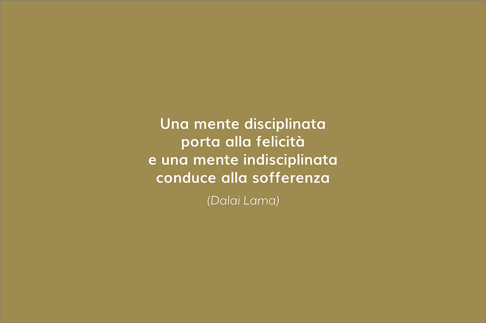 disciplina