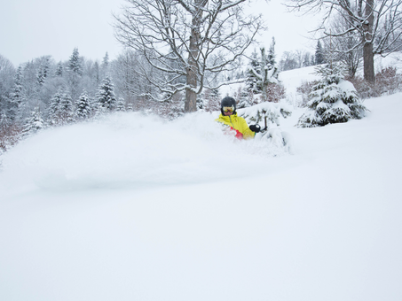 Snowbound Survival Guide