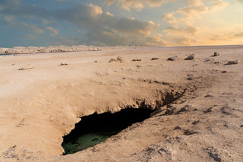 iStock-1460302368.jpg