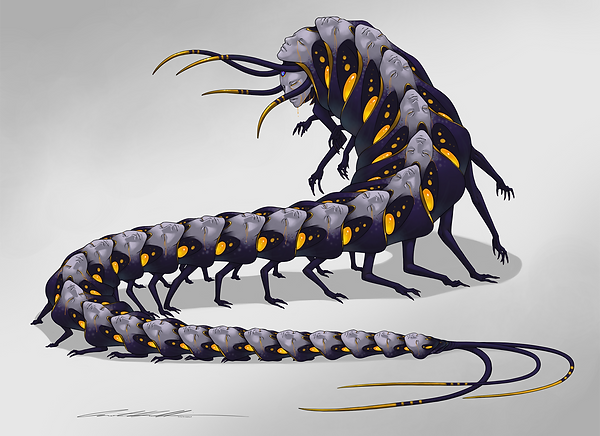 centipede