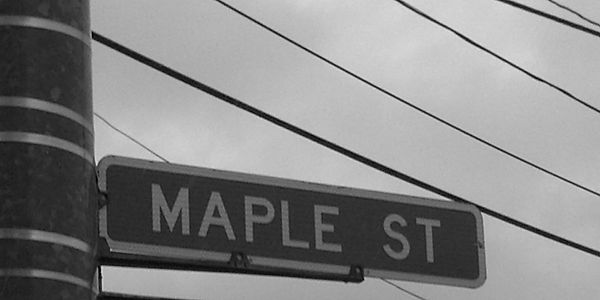 nancy_drew_and_the_mystery_of_maple_street_by_keith_mcguckin_df0i4ny_edited.jpg