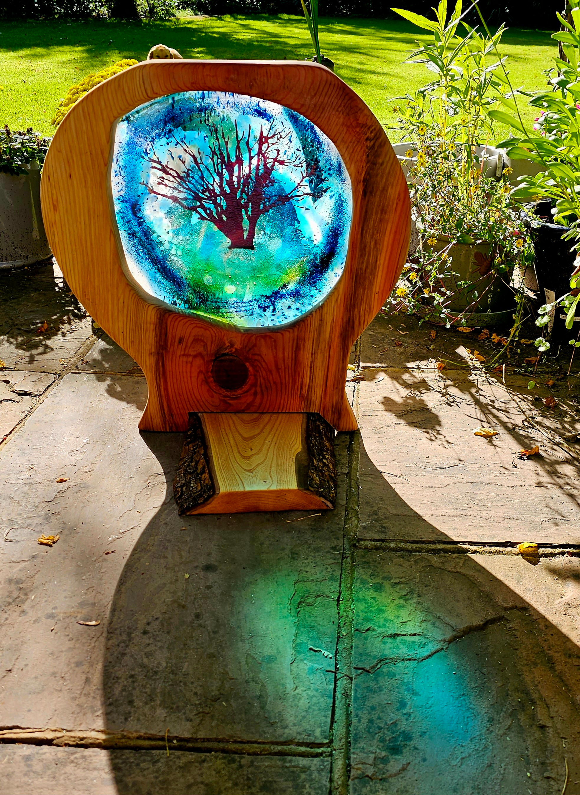 Lonely Tree Ashley Walk