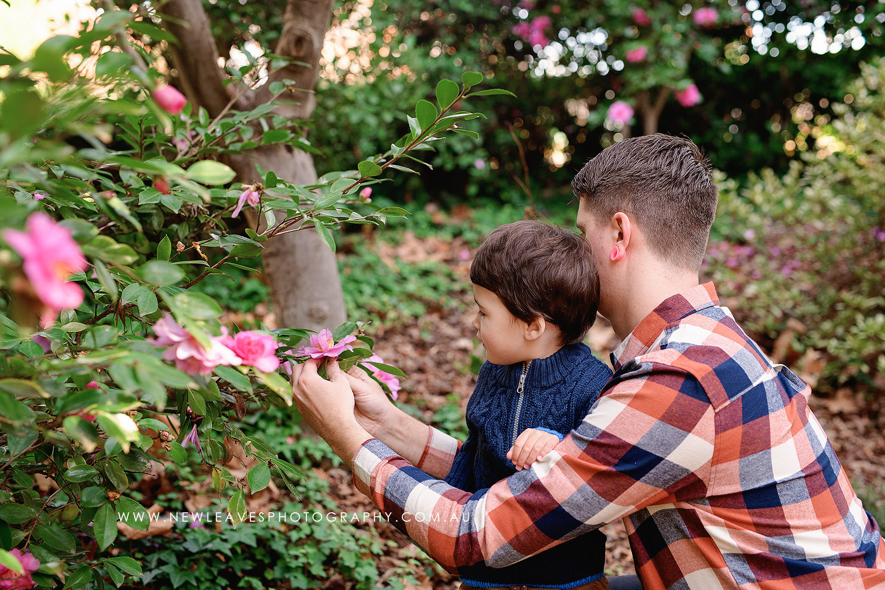 WAGGA Autumn / Mother's Day Mini Sessions