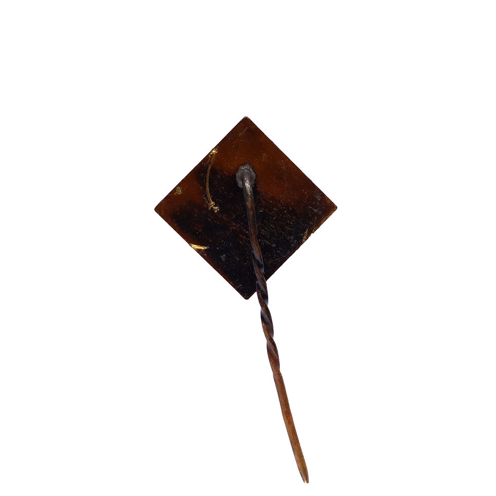 Miniatiūra: 41. Ornamentas