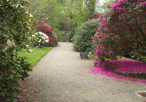 lanhydrock spring 2 (60).jpg