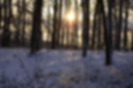 iStock-1204635990.jpg