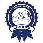 Module 1 Certification Logo.jpeg