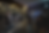Untitled design (12).png