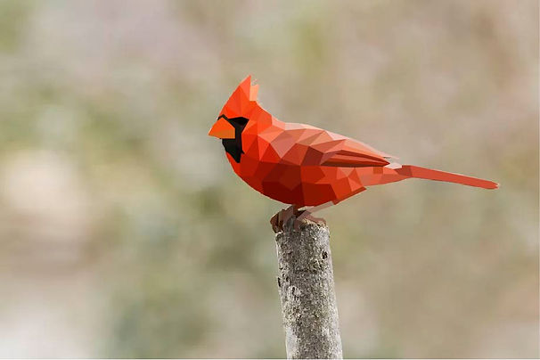 Cardinal Abstract.jpg