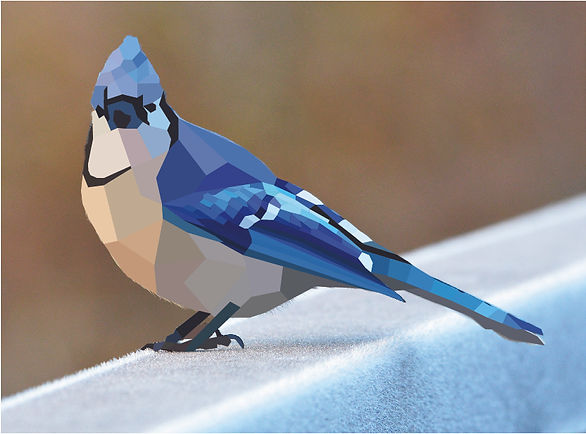 Blue Jay Abstract.jpg