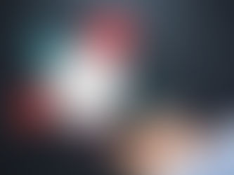             Project Risk Management 