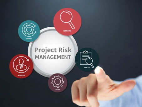             Project Risk Management 