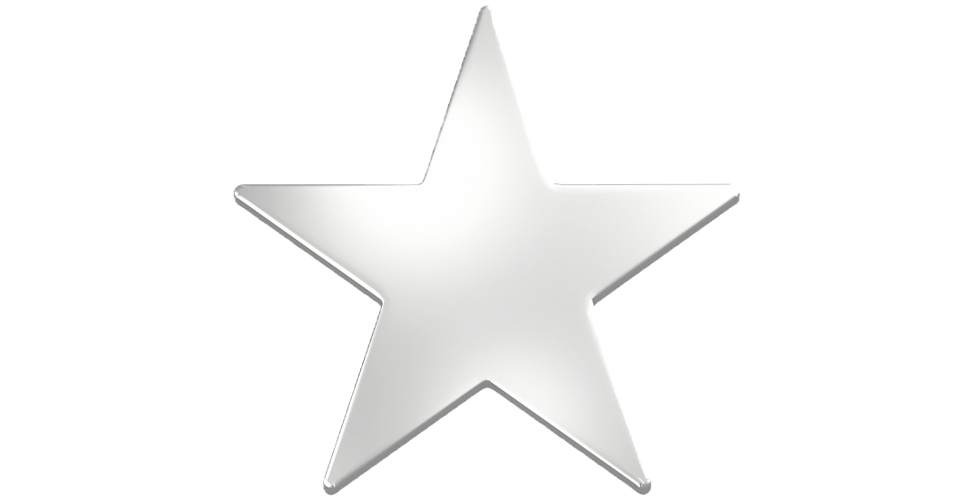 Silver Star PNG_edited_edited.png