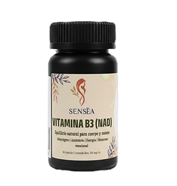 Untitled Project b3_edited_edited.png