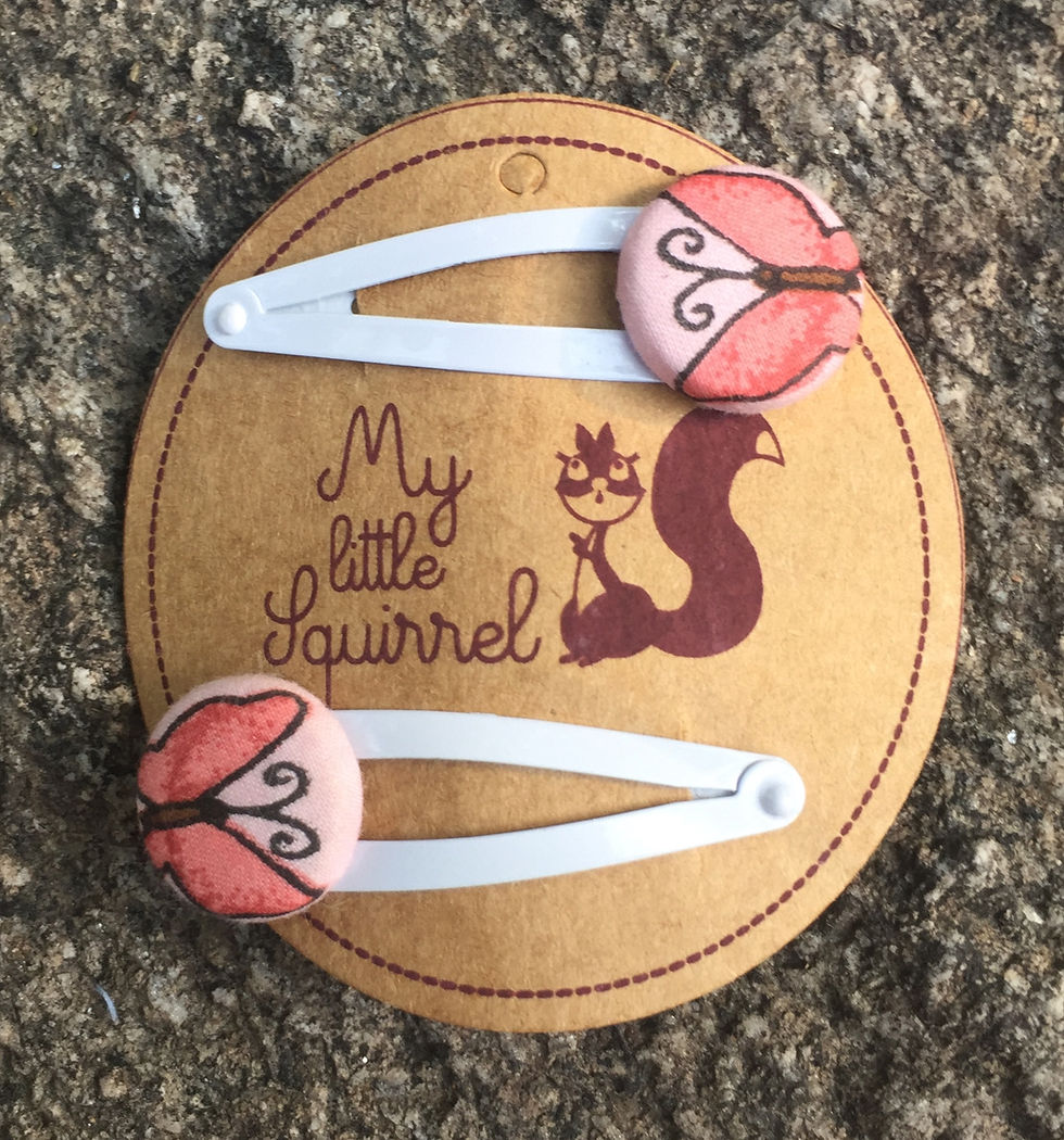 Thumbnail: Hair Clips - Set of 5