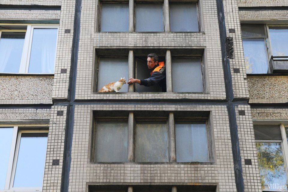 Спасение кошки в Санкт-Петербурге. Фото: The Village