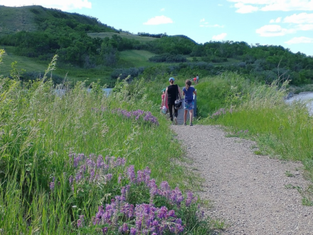 Wandering Wednesdays - Buena Vista to Lumsden Beach