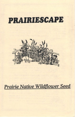 FRONT COVER SEEDS.jpeg