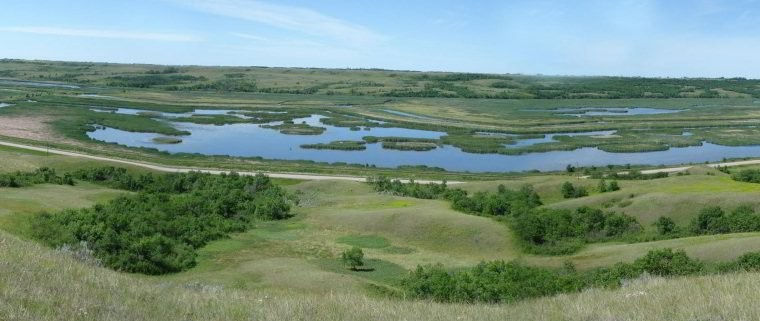 Craven Christmas Bird Count