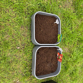 Jardinage 🌼 🧑🌾 et couture 🪡 aux NAP à Lamartine