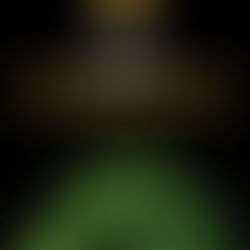 Miss Terre et les champion(nes) du Prix Ecogestes 🧑🌾🌻🌱🌿🌳