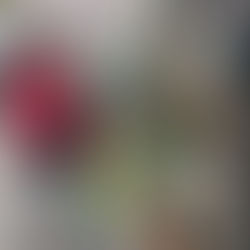 Des vacances aux Ajoncs riches en émotions 😃 et en frissons 👻