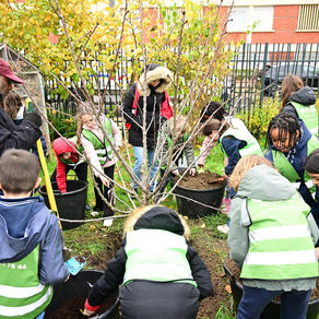 La cerise sur le gâteau !